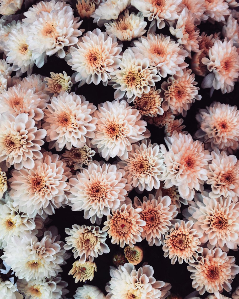 Blomster i massevis